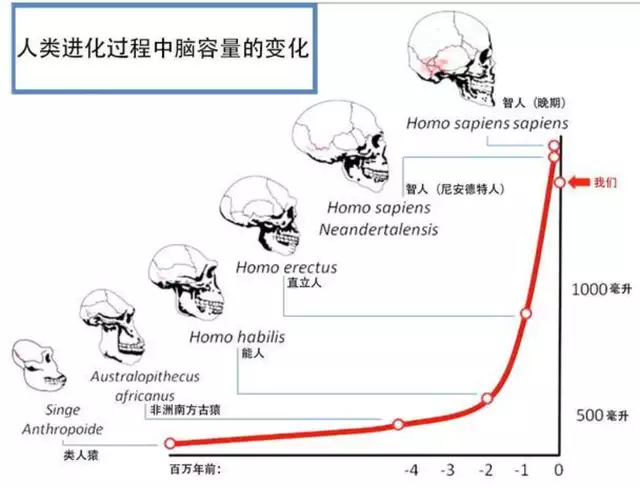 全程干货（小乌龟怎么养）小乌龟怎么样养 第6张