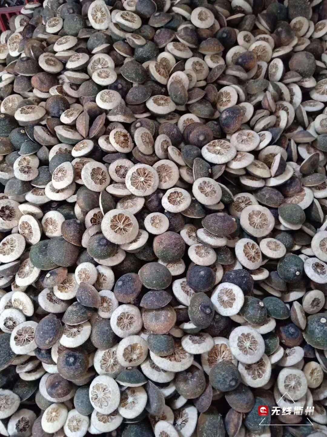 【衢六味】——衢枳壳_【快资讯】