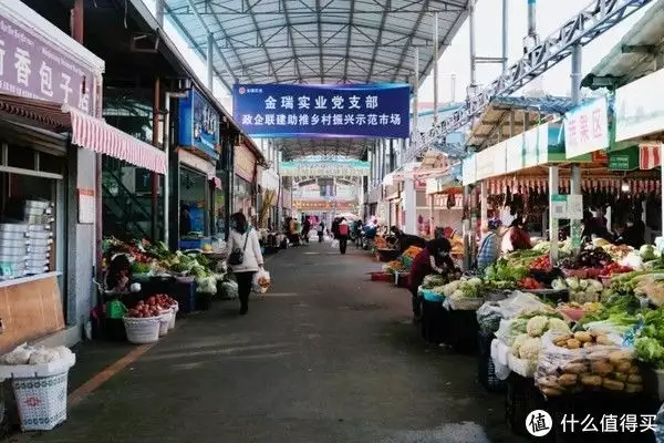 越早知道越好（桃花源记翻译最简短的）桃花源记翻译最简短的100字 第13张