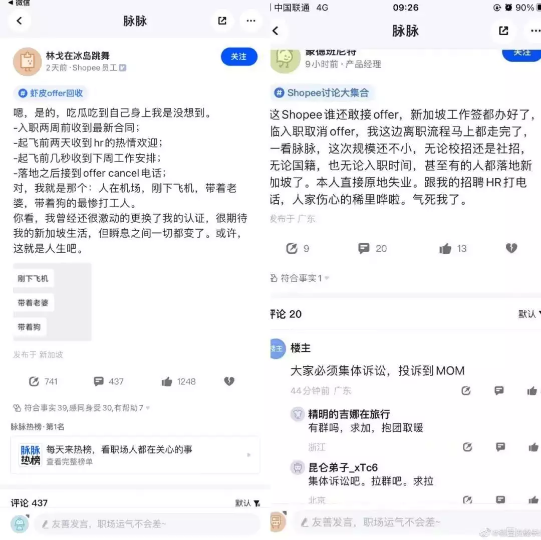 连人带狗刚下飞机,就被虾皮毁了offer?刘亦菲上学时没人追?当看到她的学生照后,网友:我也不敢追(刘亦菲出游)
