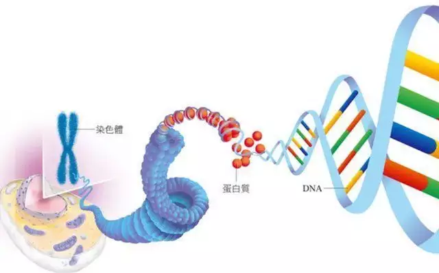 尼斯湖水怪真的存在吗（尼斯湖水怪是真的） 第3张