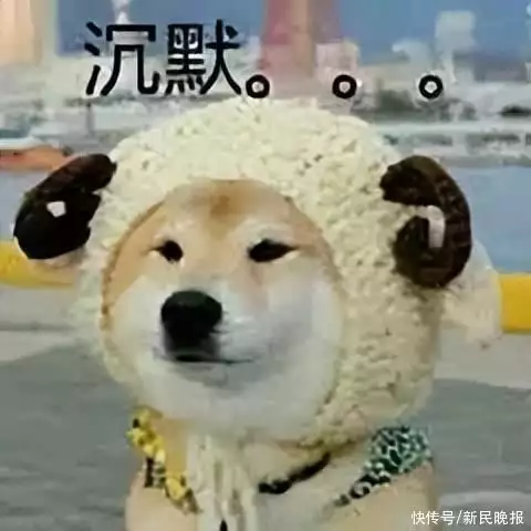 上海一中学旁开满足浴店！店员衣着暴露，学生家长试探后吓坏！不扦脚你想干啥？以刀郎《罗刹海市》作为典型案例，谷建芬呼吁整顿音乐界丨上海市第一中学对口小区有哪些