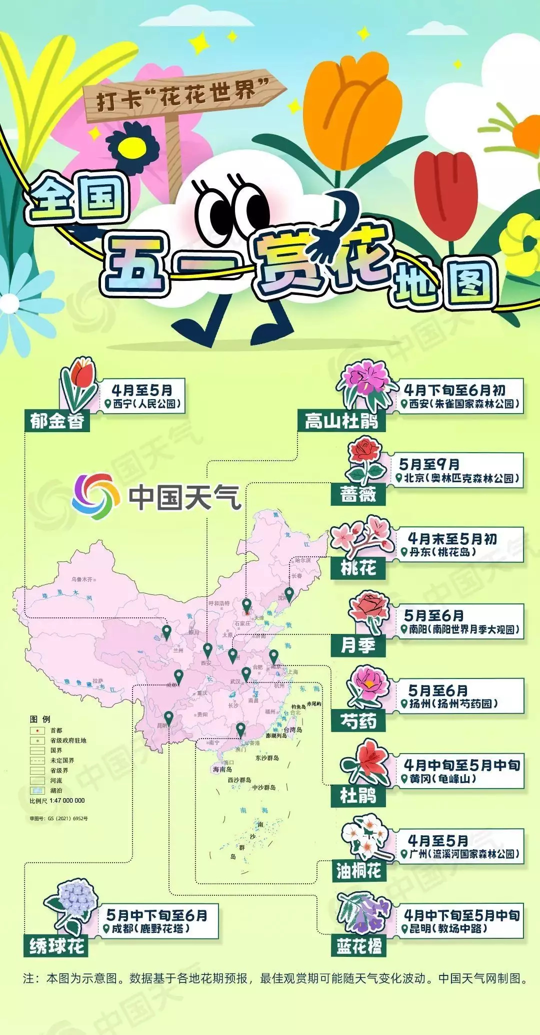 蓼子花（鄱阳蓼子花在什么地方采摘） 第1张