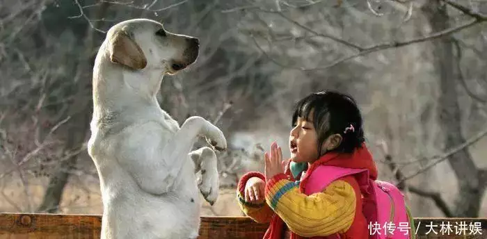 韩版张子枫?这些妹妹可真上头抗美援朝时期,中国出兵超135万,那朝鲜又给过中国哪些支援呢? 韩版张子枫?这些妹妹可真上头抗美援朝时期,中国出兵超135万,那朝鲜又给过中国哪些支援呢?
