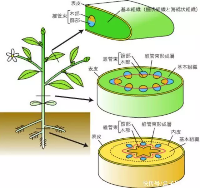 古诗名句励志（古诗词名句励志四字成语） 第4张