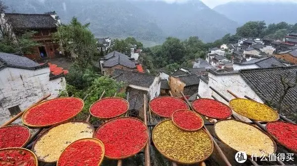 重阳节的来历和习俗（重阳节的来历和风俗和传统简短介绍） 第15张