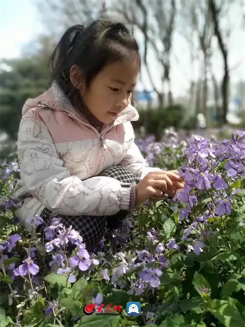 潍城区南三里小学开展清明节主题教育活动这一次，47岁的李小冉，终于走到了这一步 第18张