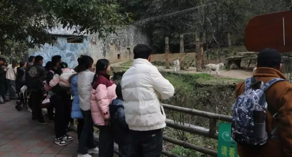 贵州森林野生动物园假期旅游持续“升温”