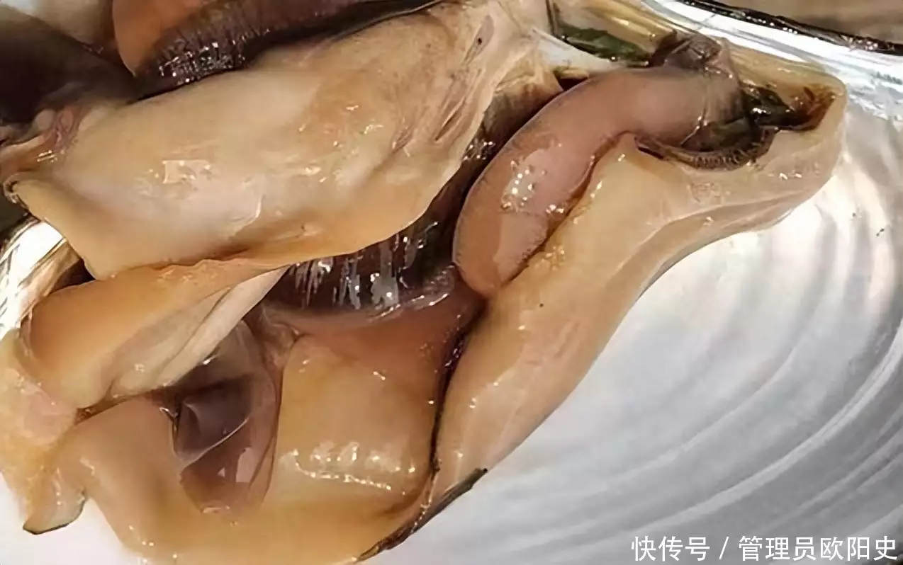 河蚌（河蚌的功效与作用） 第3张