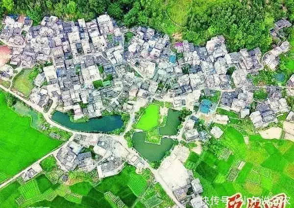 致富农民养殖_致富农民的心理_农民致富经
