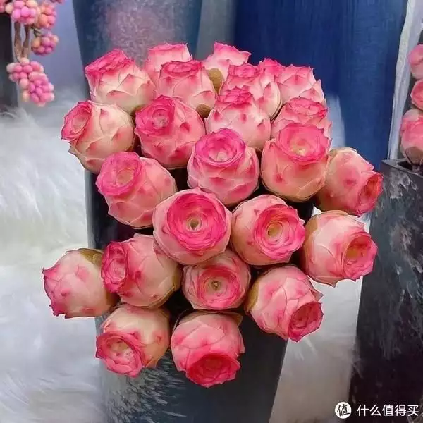 蓼子花（蓼子草价格） 第4张