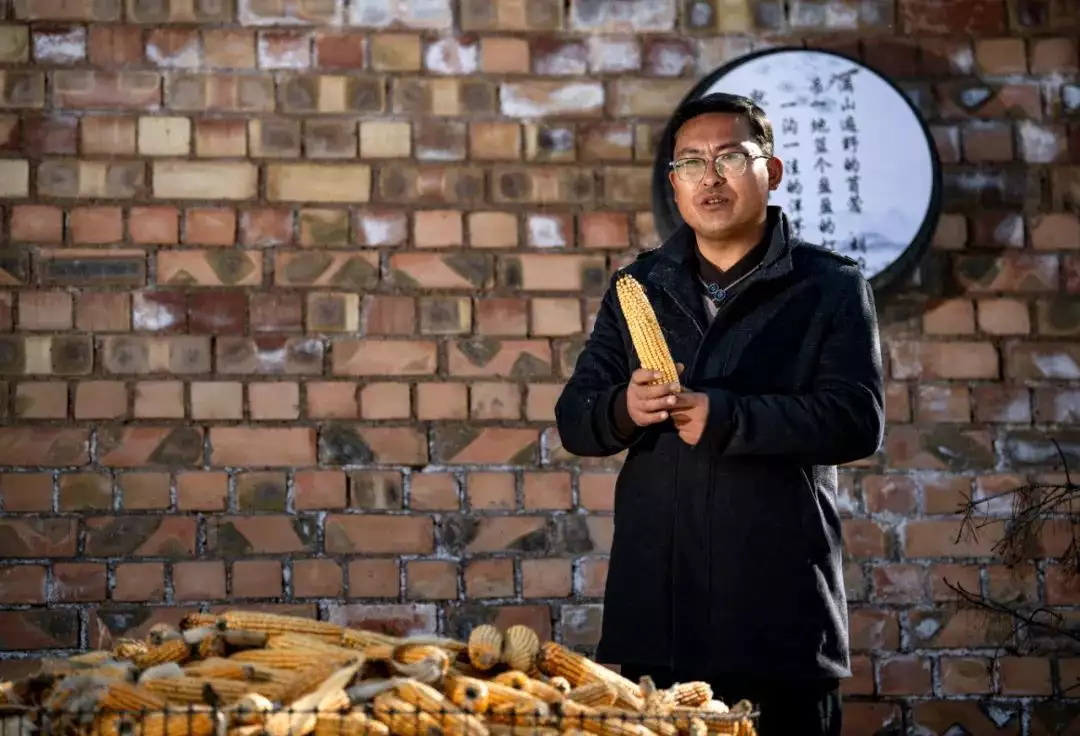 苜蓿花（苜蓿花图片与花语） 第3张