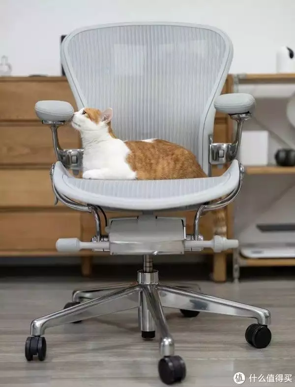 Herman Miller 真假、翻新、货源、渠道大公开广西一男童天生拥有蓝眼,夜晚看东西如同白天,检查结果让全家沉默