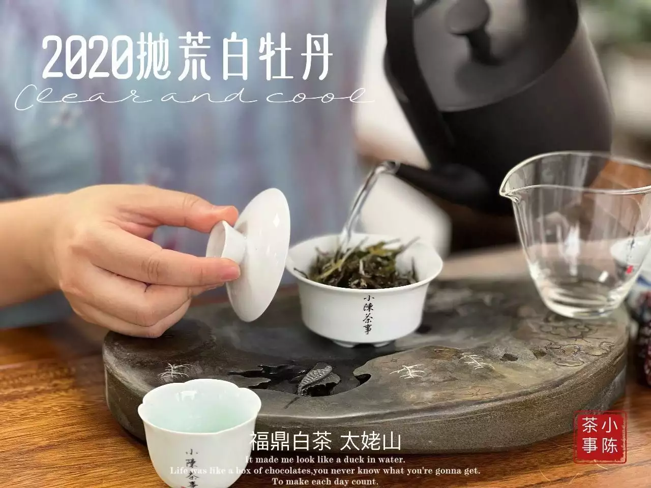 春天就要来了，这6点茶叶储存防潮细节，真的有用，建议收藏古龙嗜酒如命，沉迷风月，临死前：我的女朋友们怎么不来看我-第14张图片-福建名茶