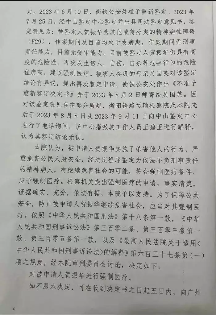 列车命案嫌犯被鉴定为精神病人（列车命案的电影） 第3张