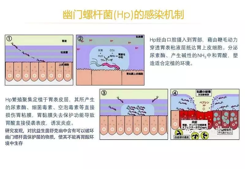 经验心得_心得经验分享_心得经验怎么写