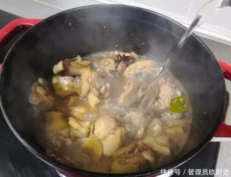 家常炖鸡肉的简单方法（炖鸡肉的做法大全家常菜视频教程全集） 第4张