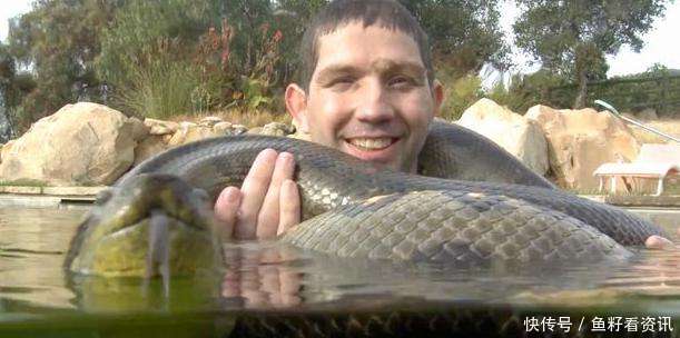 男人梦到大蛇缠着鱼，象征与解析的深度探索