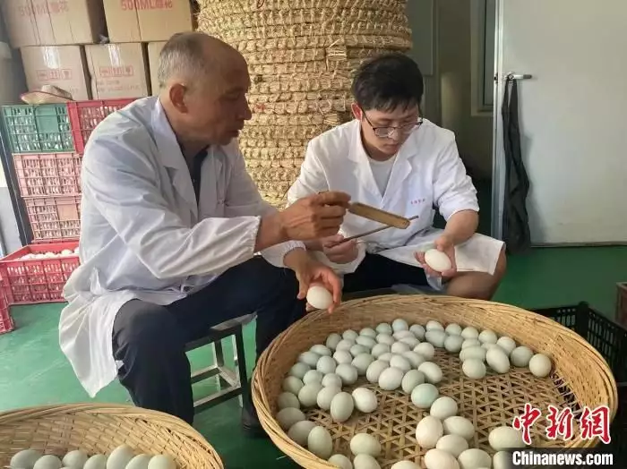 学到了（非遗美食申请规则）非遗美食名录 第2张