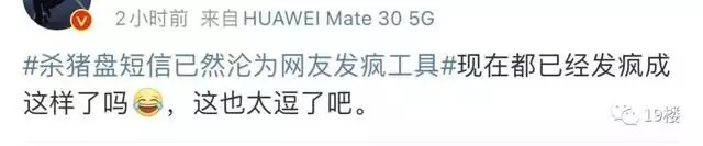 打不过就加入！“杀猪盘”短信沦为网友发疯工具？冲上热搜了……白鹿穿吊带裙纯欲感十足 绿色挑染长发个性吸睛 第12张