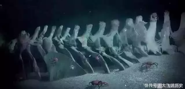 世间生物蓝鲸有多大_世间生物蓝鲸有多少只_世间有蓝鲸的生物吗