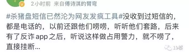 打不过就加入！“杀猪盘”短信沦为网友发疯工具？冲上热搜了……白鹿穿吊带裙纯欲感十足 绿色挑染长发个性吸睛 第17张