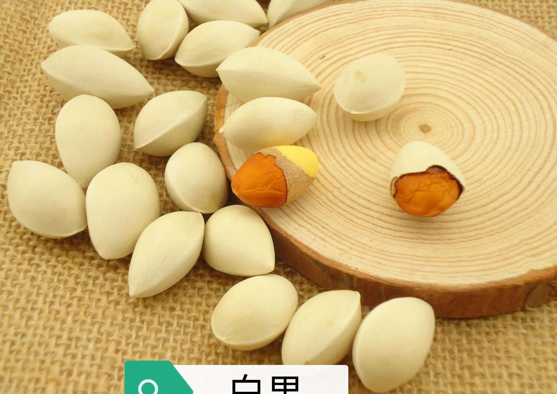 中药古今研究：白果（银杏）_【快资讯】