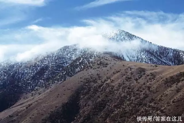 最古老的树（现存最古老银杏树） 第9张