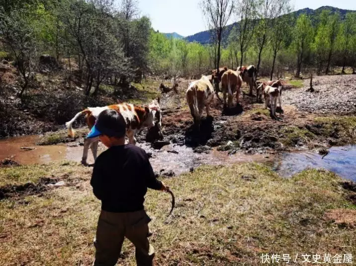 全程干货（骗情人说我怀孕）骗情人说怀孕了,让他愧疚我一辈子怎么回答 第9张