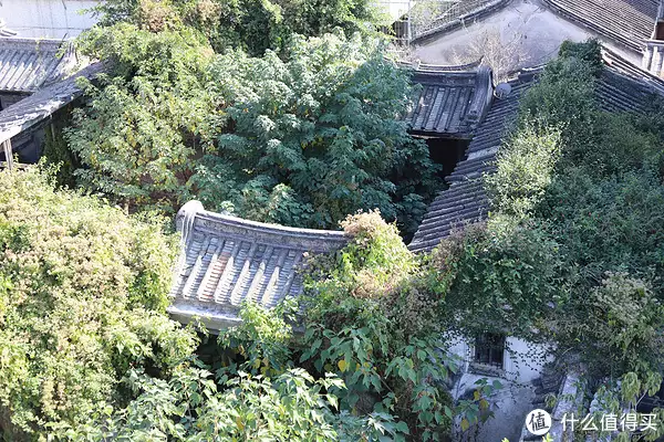 潮汕非遗美食怎么申请（潮州非遗美食） 第24张