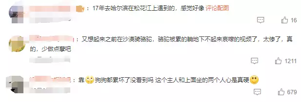 哈尔滨回应网友建议取消狗拉爬犁（哈尔滨不让养狗） 第2张