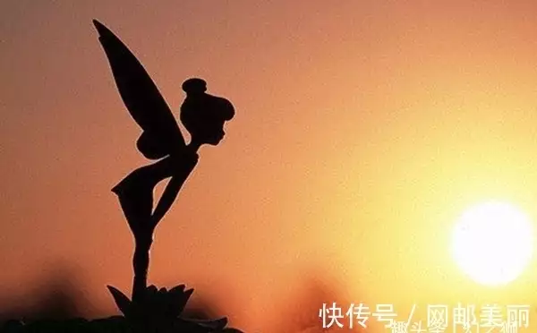 传说中的“精灵”真的存在？或许是世间罕有的一种生物？