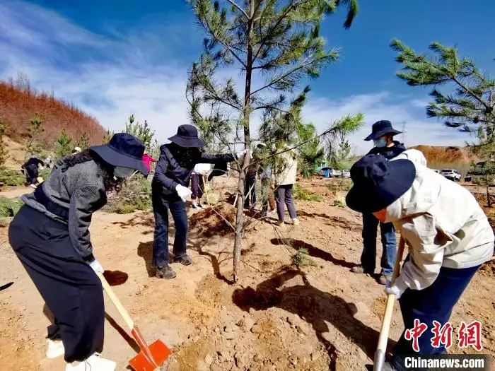 西北苗木网（西北苗木网官网） 第2张