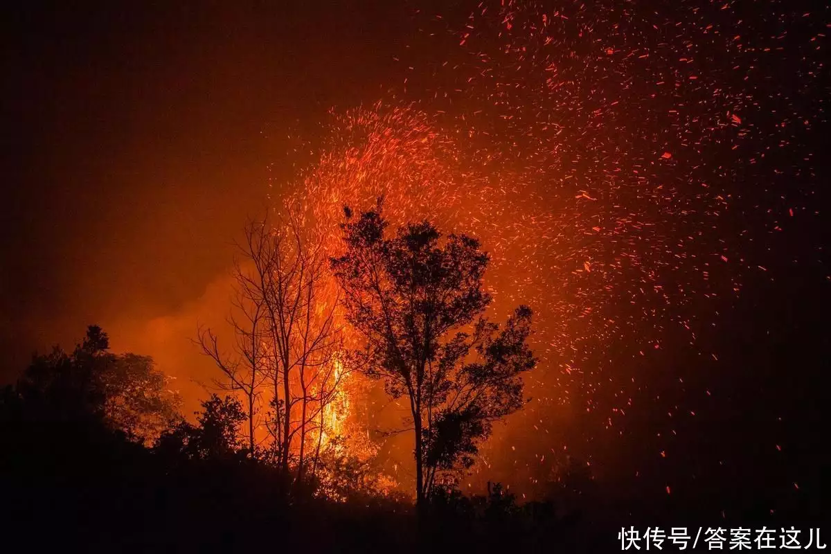 人类不能承受的真相（人类不能承受的真相有哪些） 第11张