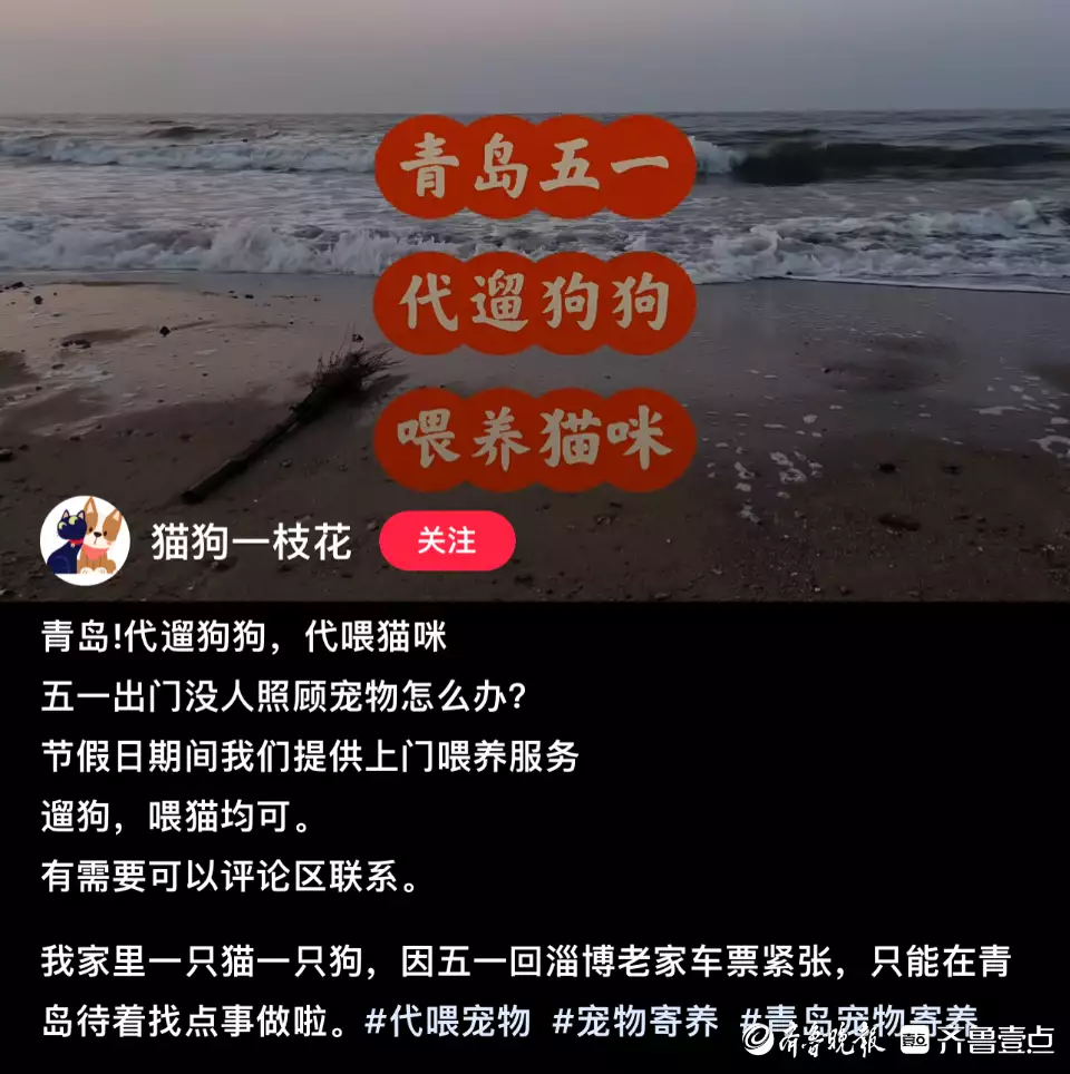 热闻·新职业｜“它经济”催生宠物代喂，真的能“月入过万”？壹点记者实探斗破删减原因被曝？片源泄露要整改，知情者：再闹萧潇改成云潇