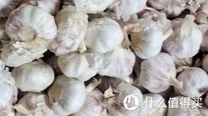 大蒜（大蒜 英文） 第3张