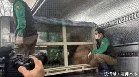 熊猫福宝韩国饲养员装哭惹群嘲,两个摄像师跟拍特写,比韩剧还假攻破50年导弹难题,山东女子造出天眼导弹,一己之力助中国崛起 熊猫福宝韩国饲养员装哭惹群嘲,两个摄像师跟拍特写,比韩剧还假攻破50年导弹难题,山东女子造出天眼导弹,一己之力助中国崛起
