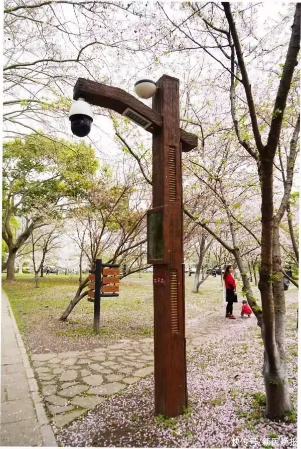 去共青森林公园赏花先看杨浦警方“平安