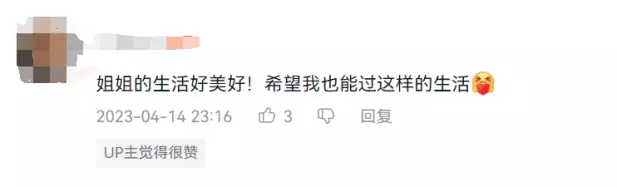 百万UP主人设崩塌背后：精致生活博主的转型困境这一次，47岁的李小冉，终于走到了这一步