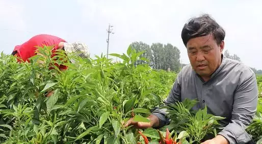 致富项目加工办厂_致富项目商机_致富经项目