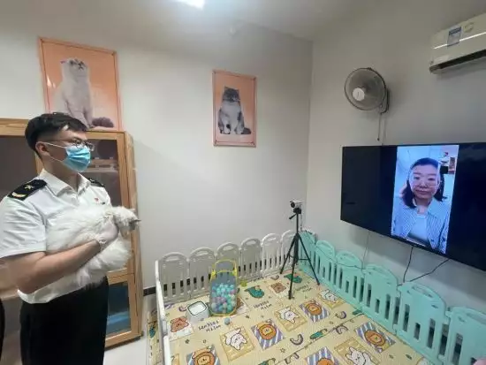 北京海关动物隔离场开启视频探视网红“弥勒佛”被富婆签约，沦为赚钱工具，如今被解约过的如何？