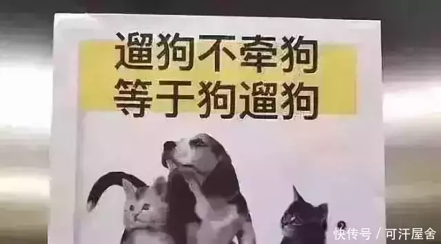 奶奶和男童遭恶犬扑咬 警方已立案（奶奶害孙女）