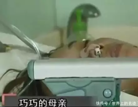 春蚕到死丝方尽的古诗（春蚕到死丝方尽的古诗是哪一首李商隐的） 第9张