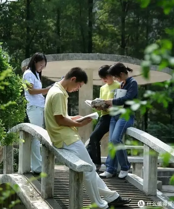 大学生活新手必备！如何轻松适应大学生活？“台湾永远不可能回归中国”，她刚说完没几天，就意外被吊臂砸死