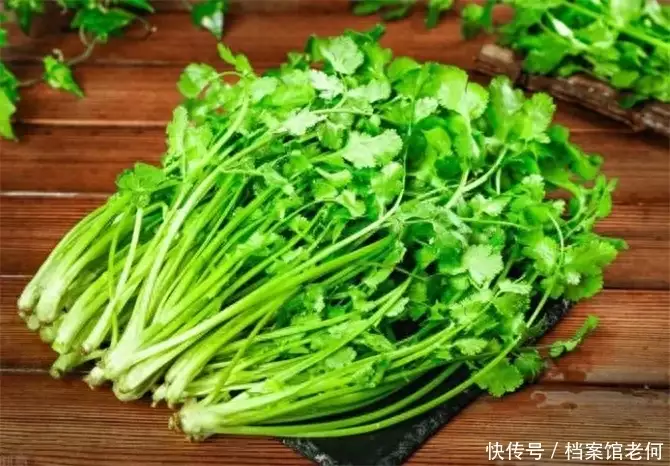 香菜（香菜 基因） 第4张