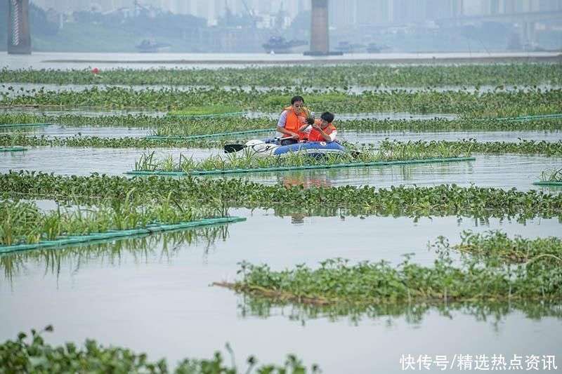 广西梧州：管护人工鱼巢 增殖鱼类资源_【快资讯】