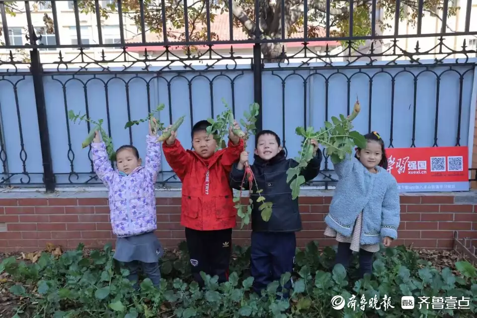 新鲜出炉(即墨龙山中心小学怎么样)即墨龙山小学怎么样2023已更新 第3张