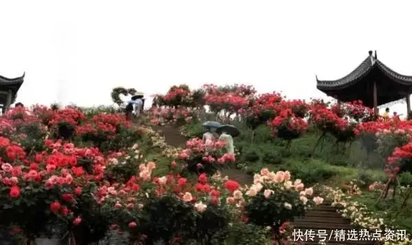 永川区举行三教非遗文化艺术节暨首届玫瑰花节还记得《少林寺》中的牧羊女吗？如今身价过亿，年过半百依然很美 第3张