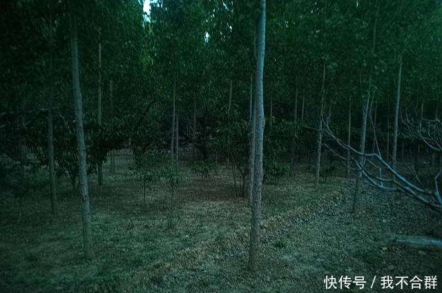 赏析《聊斋志异》之王子安_【快资讯】