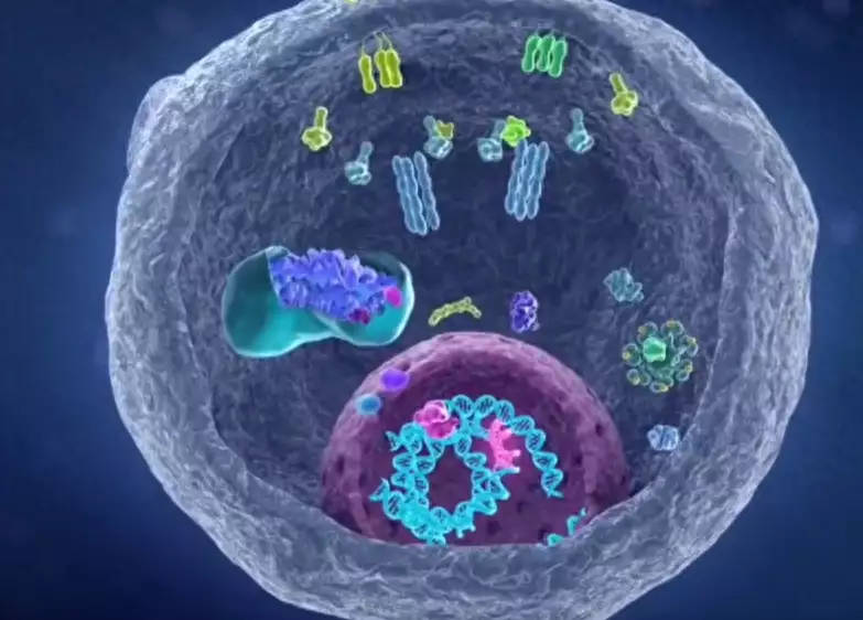 科学家找到癌细胞的生死开关（科学家找到癌细胞的生死开关是什么） 第1张